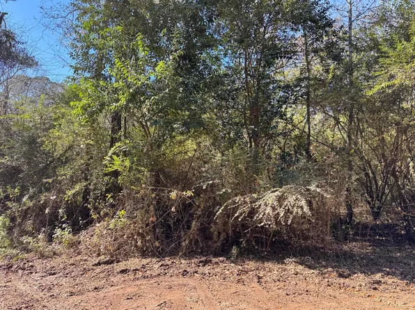 0 Gibson St, Elba, AL 36323