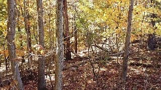 5th image of Plumpton Ln #5