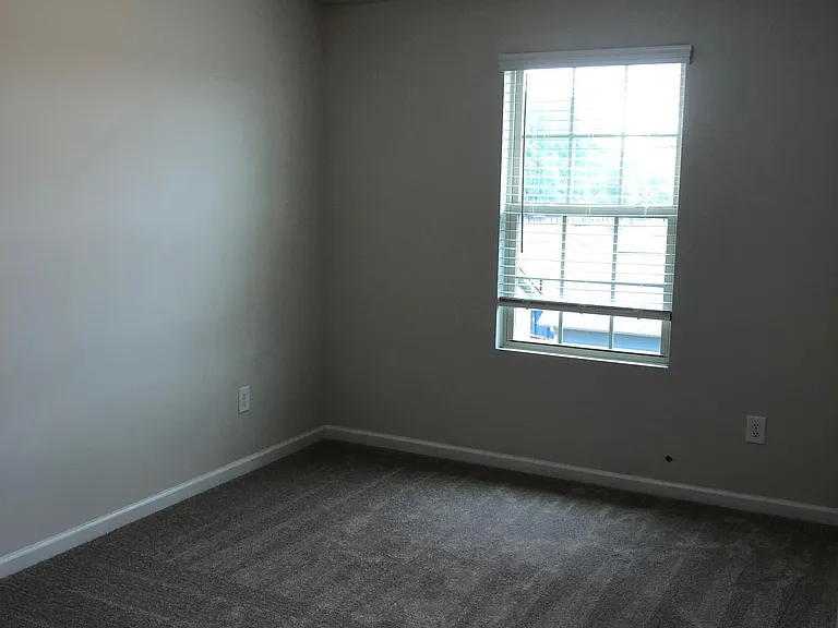 12906 Robert Walker Dr — Photo 18