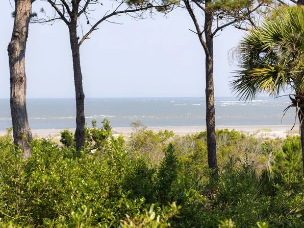 255 Pelican Flight Dr, Dewees Island, SC 29451