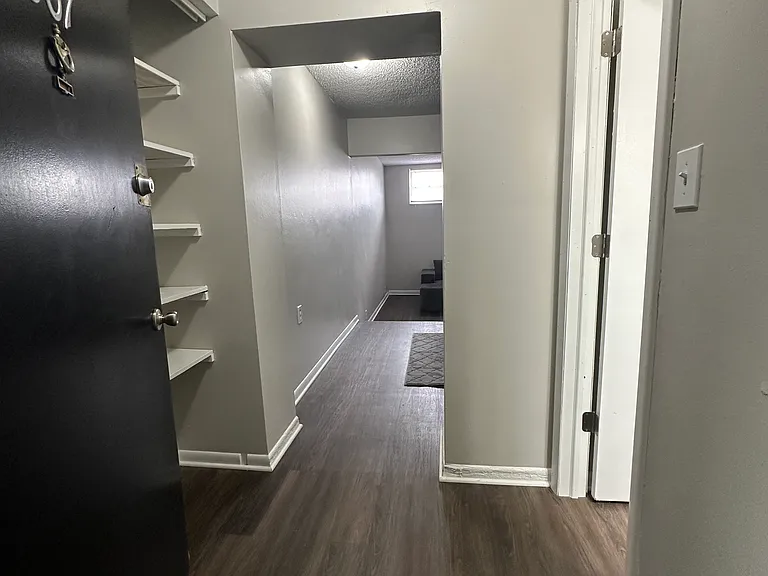 807 entry with new plank flooring and storage.