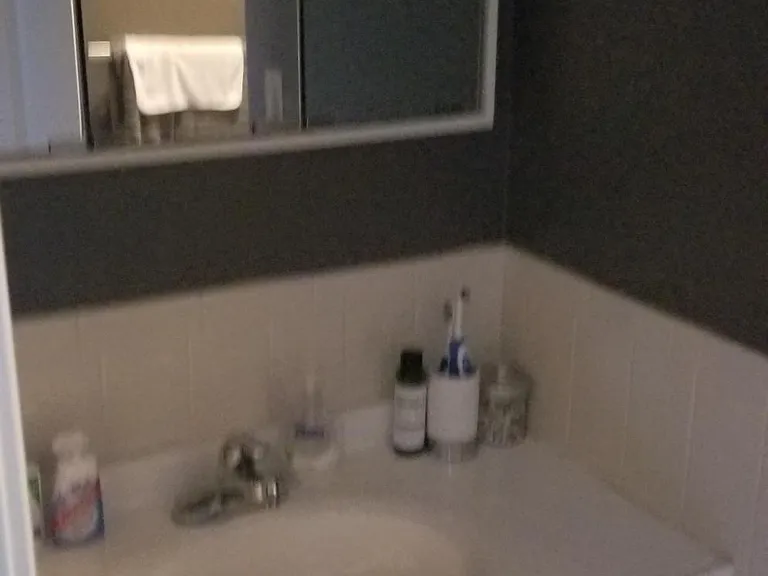 49 Honeysuckle Dr — Photo 13