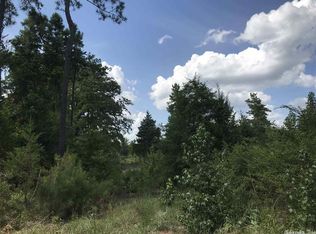 4349 Tbd County Rd #4346, Bivins, TX 75555