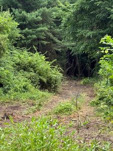 LOT 1 Rocky Meadow St, Middleboro, MA, 02346