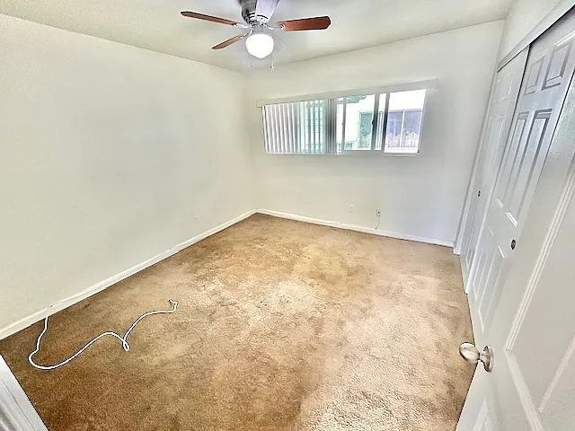 445 E St #5 — Photo 13