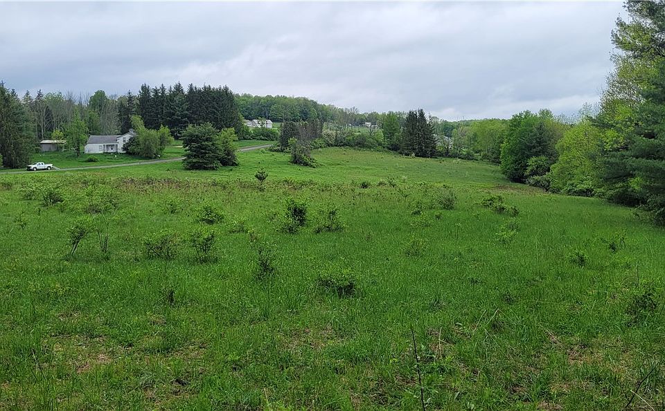 330 Tallow Hill Rd, Spencer, NY 14883 Zillow