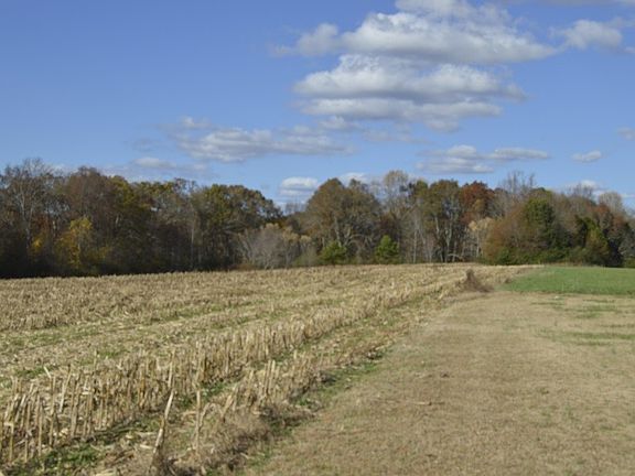 3rd image of 0 Old Manchester Hwy