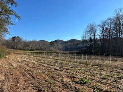 Bald Mountain Creek Rd, Blairsville, GA, 30512