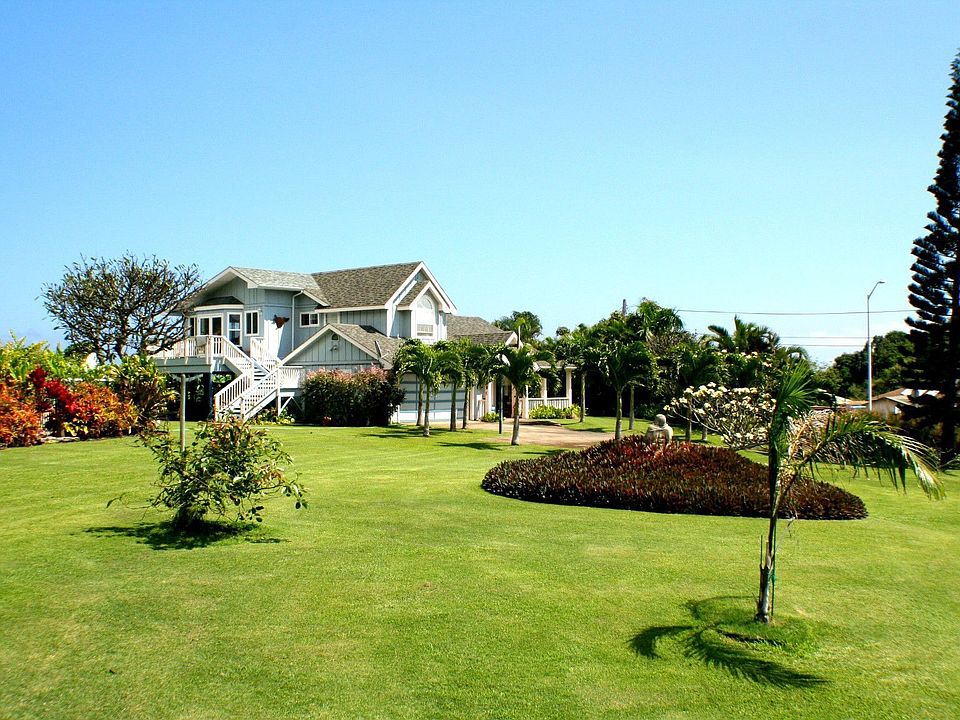 Front yard 