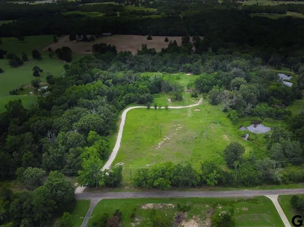 13633 County Road 4325, Larue, TX 75770