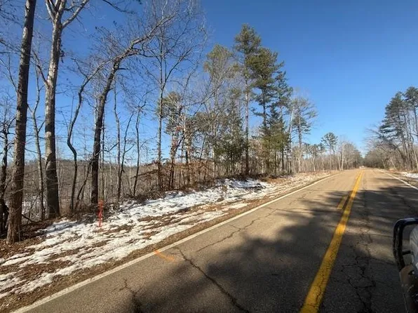 TRACT 2 State Route 225, Henderson, TN 38340