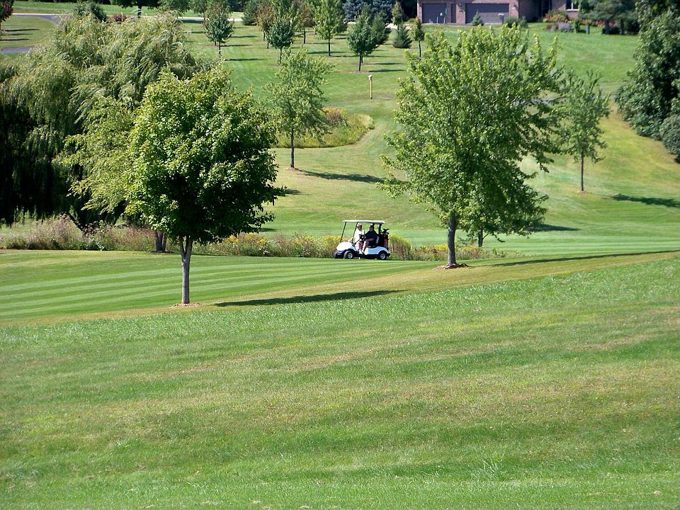 Golf Course Views