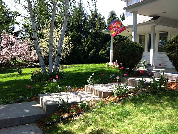 Front steps w Magnolia!