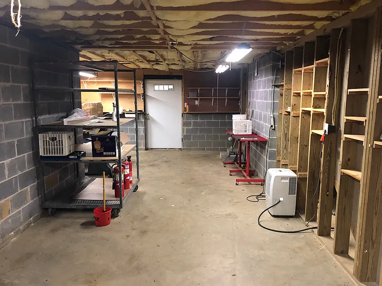 kestrell basement_10082019