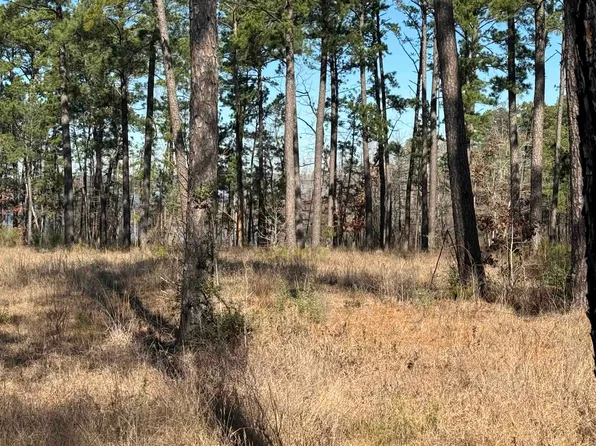 LOT 24 Private Road 6028, Brookeland, TX 75931