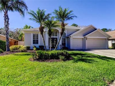 10614 Chambers Dr, Tampa, FL, 33626