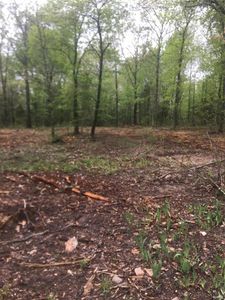 6 Patton Acres, Waynesville, MO, 65583
