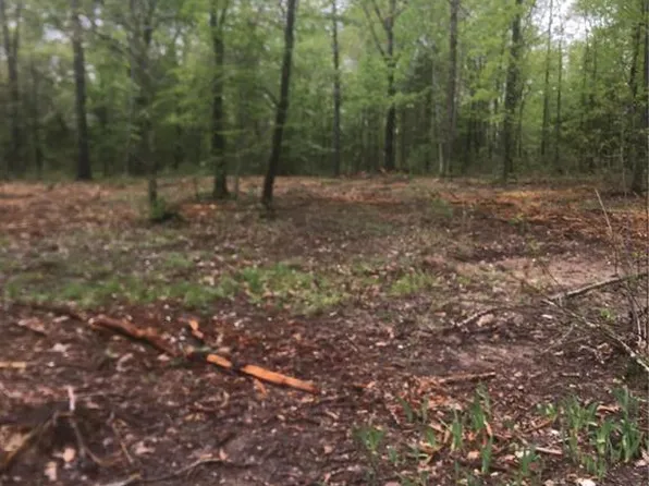 6 Patton Acres, Waynesville, MO 65583