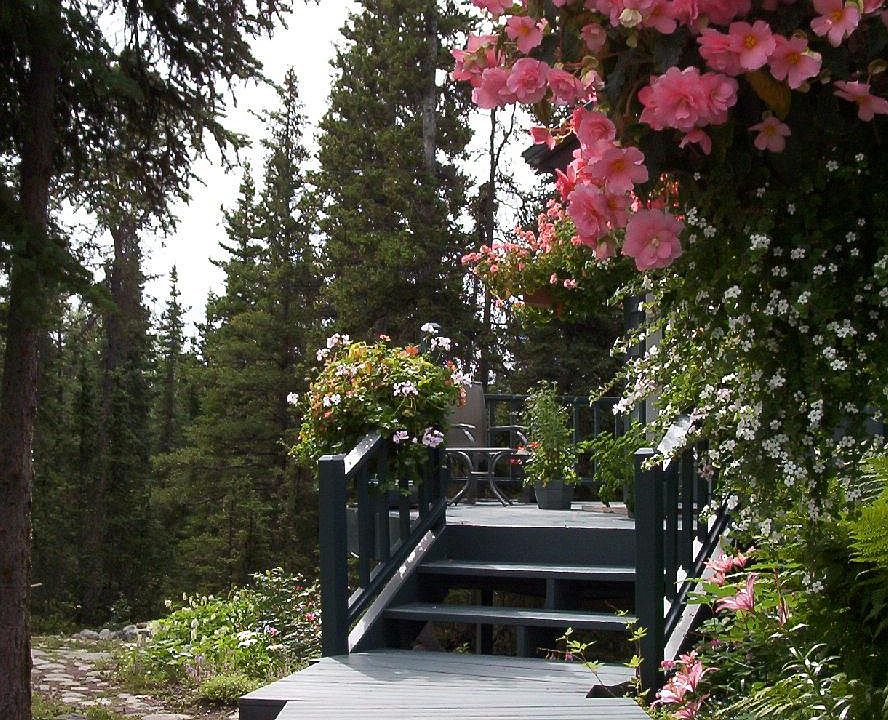Path to Main Floor Entry and Ground Floor Entry