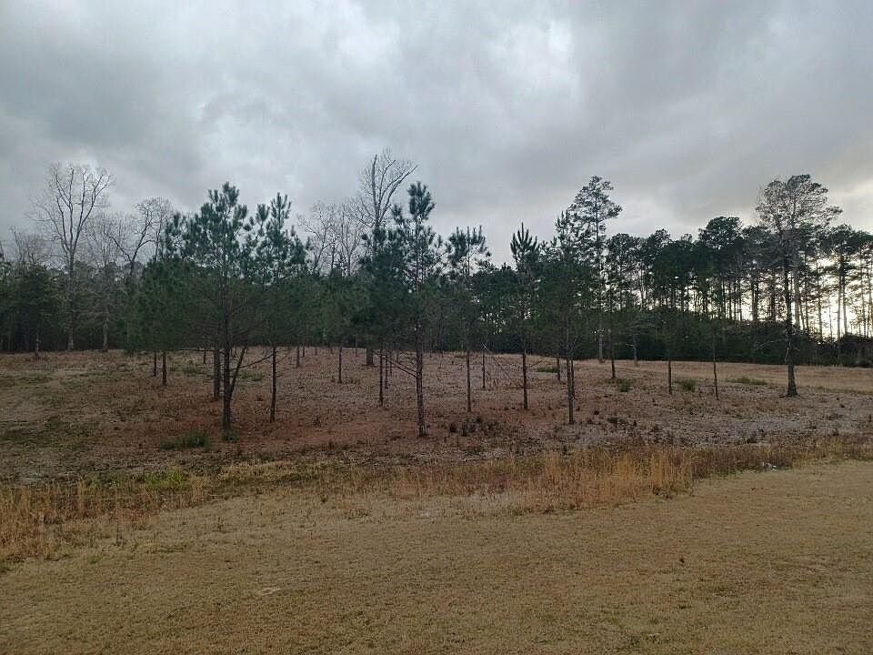 1038 Susek Dr, Pineville, LA 71360 Zillow