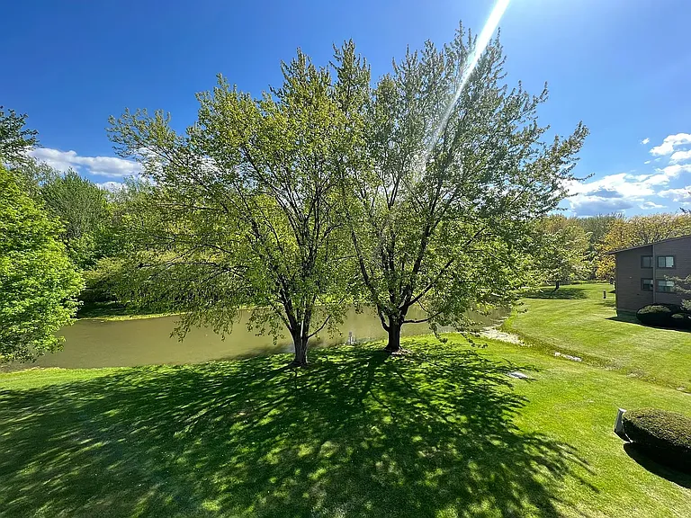 208 Watertree Dr #208 — Photo 5