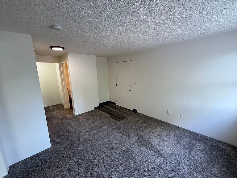 Ashwood Apartments — Photo 18