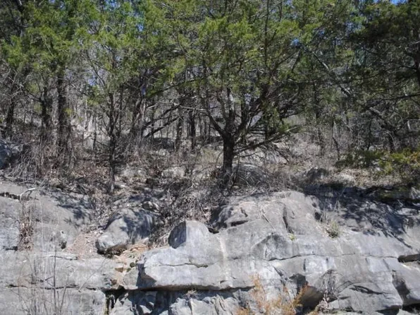 2212 Newsome Gap Rd, Rising Fawn, GA 30738