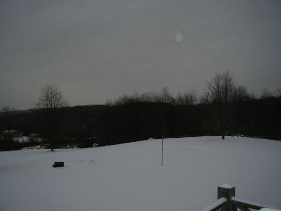 Wintertime yard