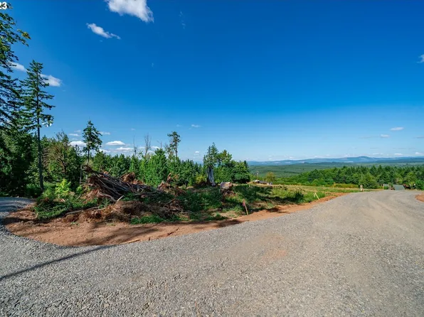 0 S Silver Lake Lot #1 Road, Castle Rock, WA 98611