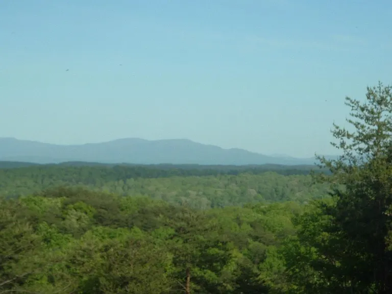 View from rear deck