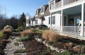 Mature established landscaping