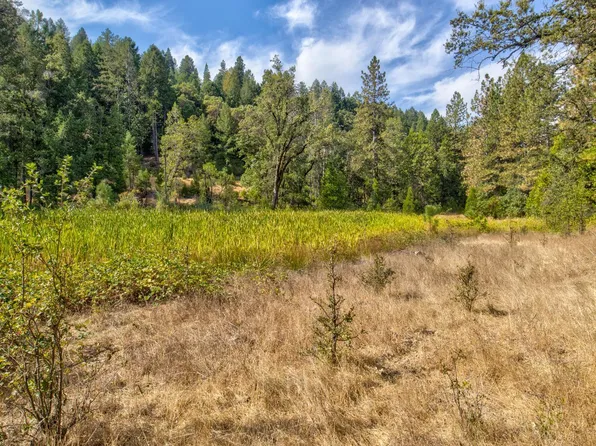 26835 State Highway 88, Pioneer, CA 95666