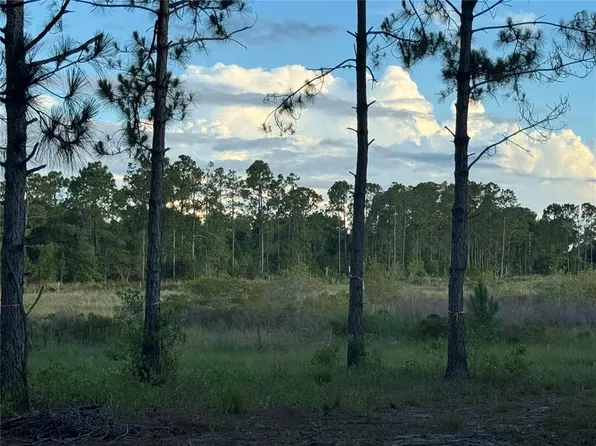 Orange Blossom Rd Lot 1, Howey In The Hills, FL 34737