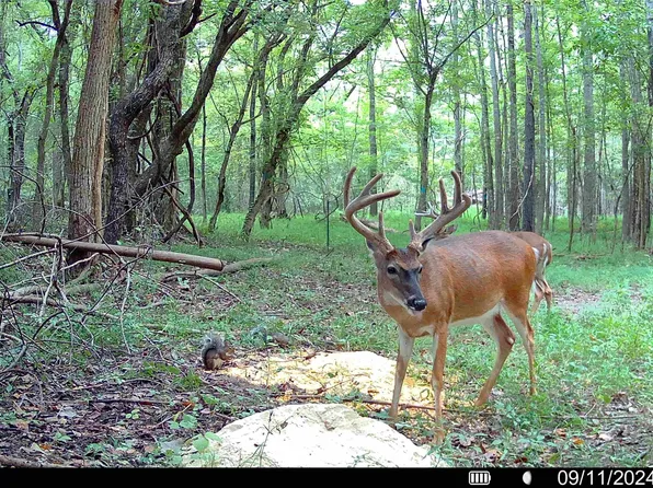 502 Henry Place Rd, Benton, MS 39039