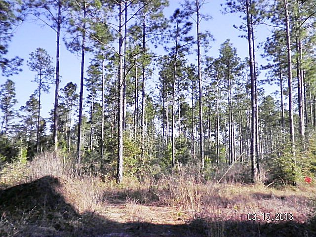 2nd image of Porter Grade Rd