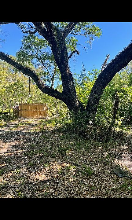 Charming! Beautiful old oak!