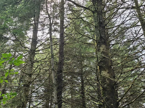 M2 L48 US 2 Route, Crystal, ME 04747