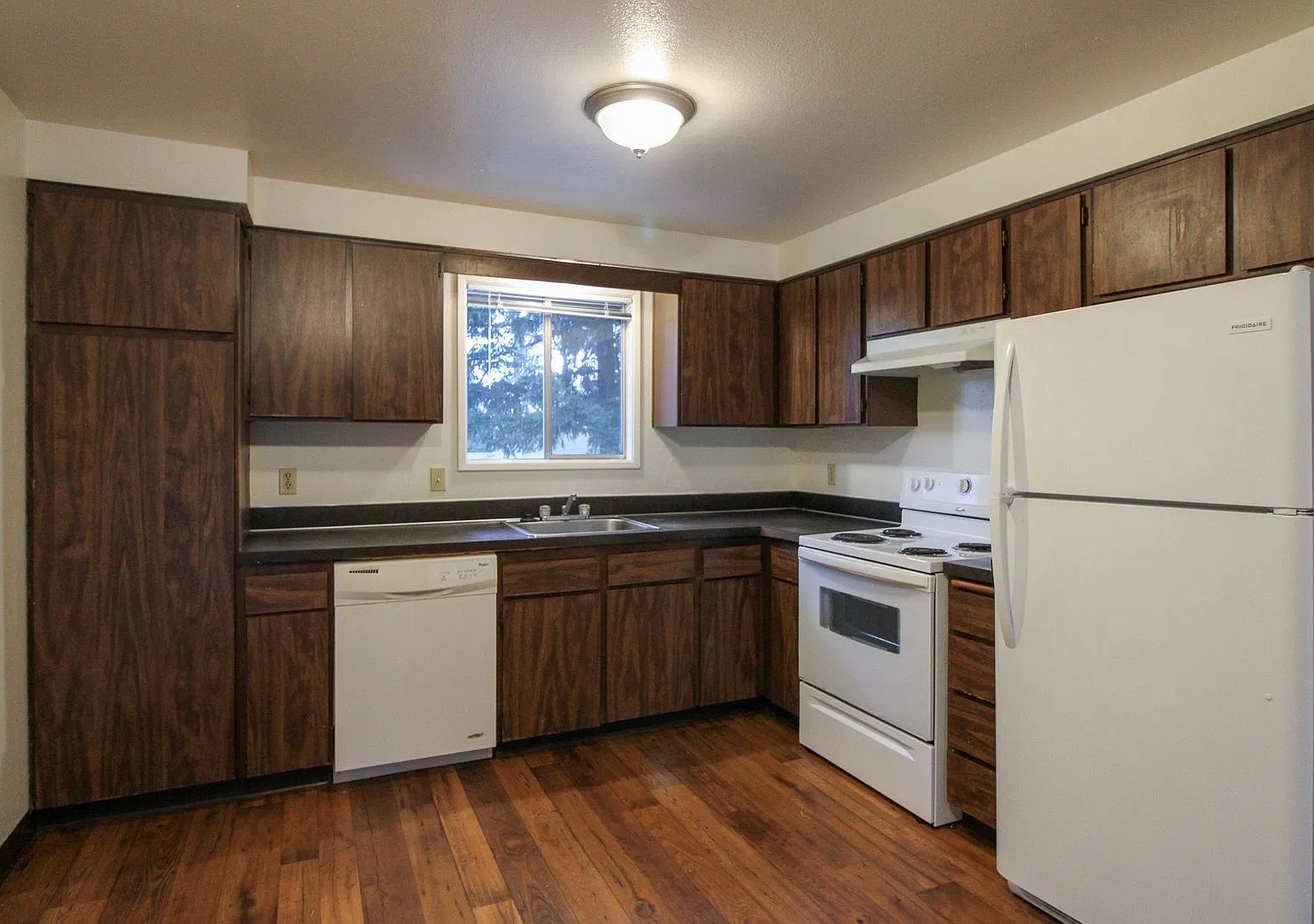 Laurieannapts — Photo 3