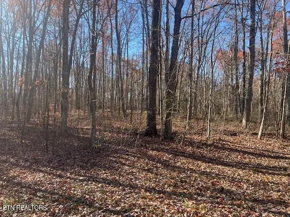 Sawmill Rd, Monterey, TN 38574