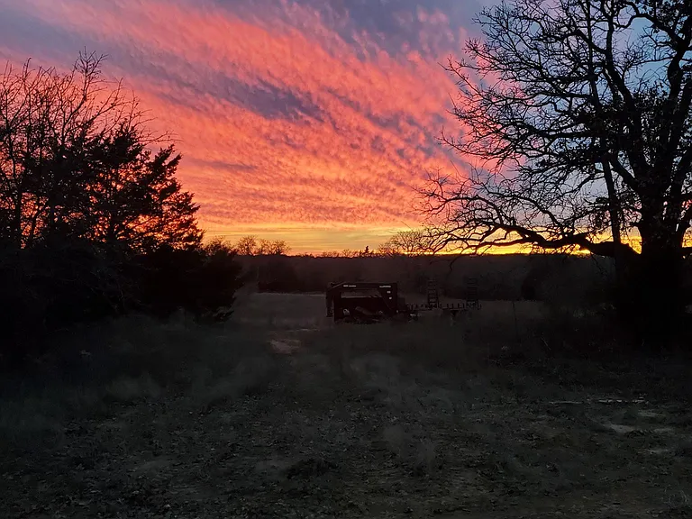 Back Porch View