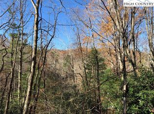 Laurel Ln, Banner Elk, NC 28604