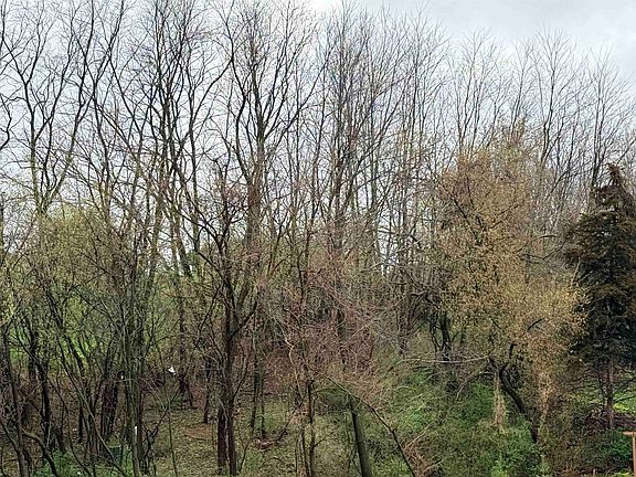 5th image of 10 Linden Ct