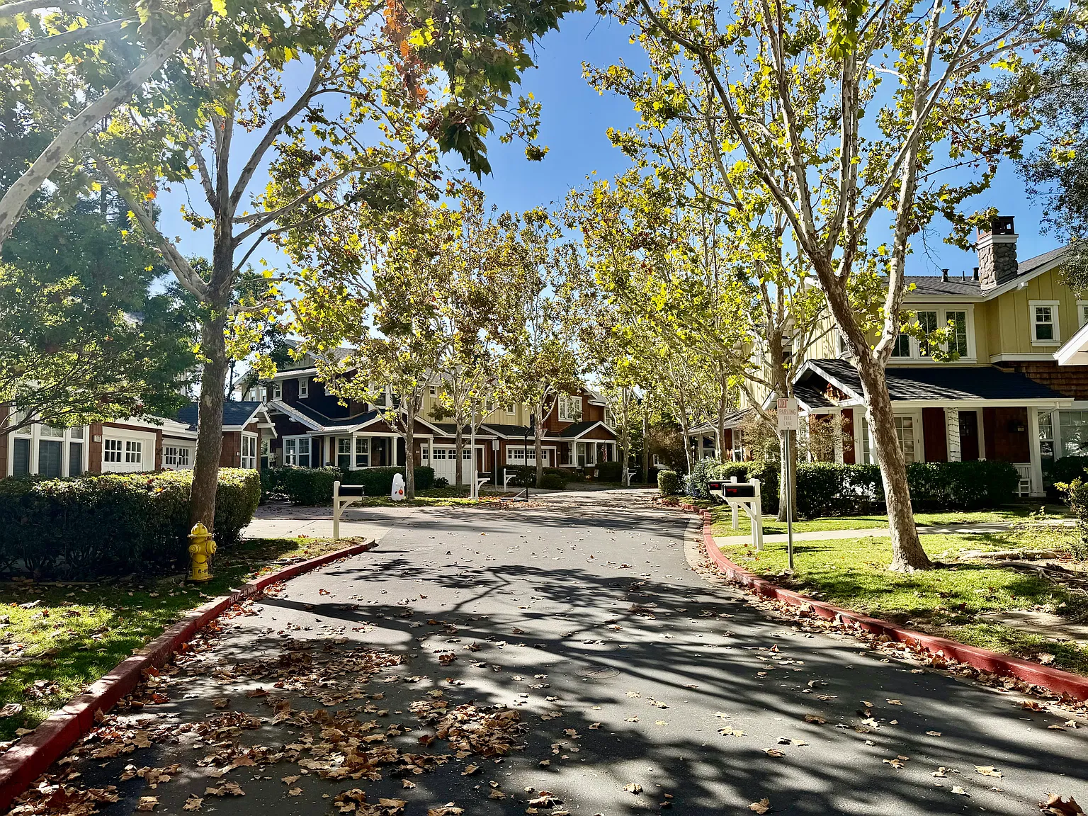 3 bed, 2.5 bath, 1992 sqft, $6,500 — Photo 3