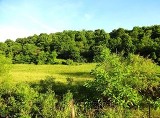 Barrcut Rd, Spencer, WV 25276