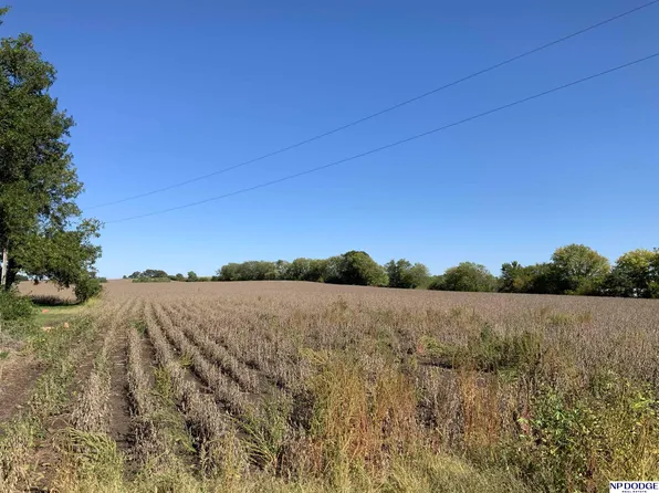 140th Van Dorn St, Walton, NE 68461