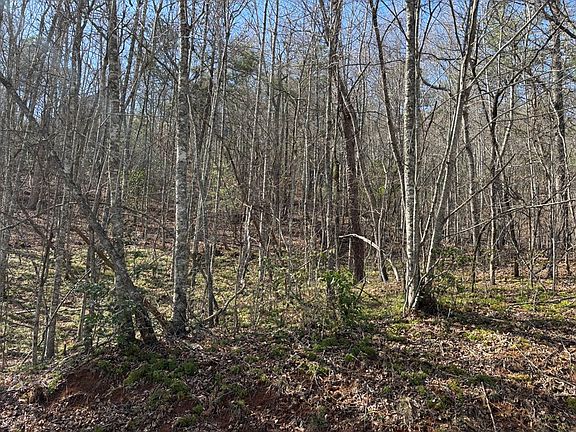 3rd image of LOT 2 Mystic Mountain Rdg