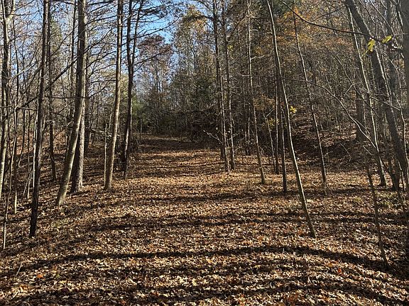 5th image of 1212 Second Creek Rd