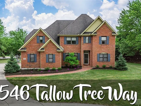 546 Tallow Tree Way, Tipp City, OH 45371