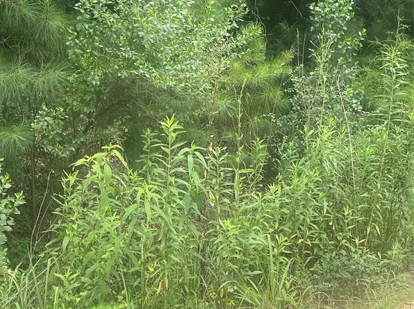 0 E Forest Rd Lot 59-61, Daleville, AL 36322