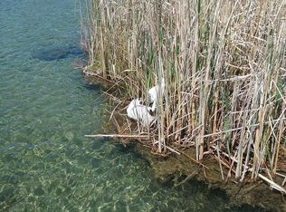 35964 Timber Hills Trl, Battle Lake, MN 56515